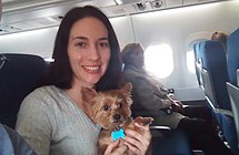 Melissa Kingfield